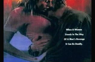 新烈火情挑在线观看,激情燃烧的青春岁月